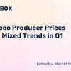 indexbox.io
