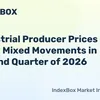 indexbox.io
