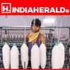 indiaherald.com