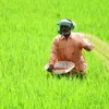 indianchemicalnews.com