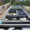 metroindia.net
