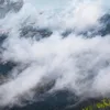 thecooldown.com