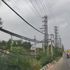 tribuneindia.com
