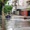 tribuneindia.com