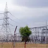 tribuneindia.com