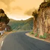 tribuneindia.com