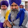 tribuneindia.com