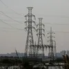 tribuneindia.com