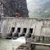 tribuneindia.com