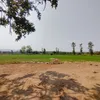 tribuneindia.com