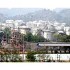 tribuneindia.com