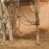 tribuneindia.com