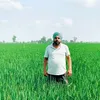 tribuneindia.com