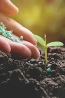 Kenya's Agricultural Boost: Fertilizer Initiative
