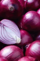 India Eases Onion Export Restrictions to Aid Neighbouring Countries