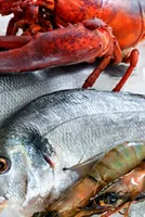Seafood Exporters Prepare for Growth Amidst Monsoon Optimism