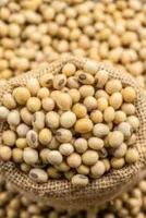 Soybean Price Surge in Rajgarh Mandi