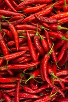 Slow Rise Expected in Red Chilli Prices