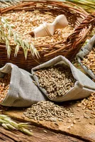 PMGKAY: Free Food Grains in Odisha and MP