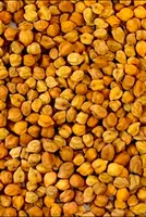 Government Plans to Enhance Chana Supply through Imports