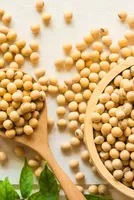 Global Factors Propel Soybean Price Surge