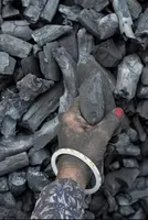 Modi Government's Coal Sector Progress Report