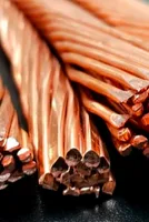 Copper Demand Surges as Prices Rally High