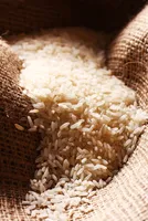 Basmati Paddy Prices Surge 11-14% Amid Global Demand