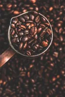 Arabica Coffee Prices Plummet