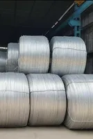 Chinese Wire Rod Exports Stall Amid Investigation Speculation