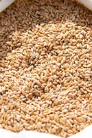 Wheat Futures Rebound, Prices Rise