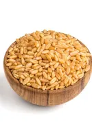 Government Directs NAFED and NCCF to Procure Wheat Directly from Farmers