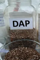 Indian DAP Output Hits Lowest Level