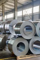 Taiwan’s stainless steel prices supported by high production costs despite cautious buying