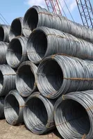 US maintains AD/CVD orders on steel wire rod from China