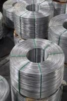 Weak US Dollar, LME Zinc Center Shifts Upward [SMM Morning Meeting Minutes]