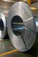 Morocco Initiates Sunset Review Investigation on Imported Hot-Rolled Steel Plates