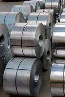 SandP Global: Higher US steel tariffs reshape trade flows but investment response remains limited