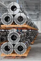 Nickel prices rise modestly amid tight Indonesian supply, ferronickel hits new highs