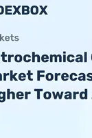 World Petrochemical Catalysts - Market Analysis, Forecast, Size, Trends and Insights 