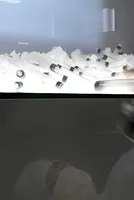 Petrochemical Base Oils Under Emergency Supply Adjustment 