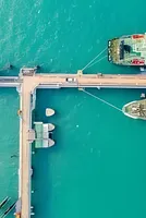 Asia most vulnerable to oil price rise, prolonged West Asia conflict to influence region's macro outlook: Invesco report