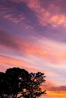 India’s Aviation Market Rocked by Wild Jet Fuel Price Swings