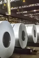 Japan, South Korea raise concerns about India’s steel import restrictions