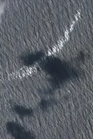 Satellite Images Show Seven Tankers Loading Iraqi Crude at Once