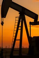India Shielded Consumers from Gulf Crisis Through Timely Energy Measures, Says Former Petroleum Ministry Official 