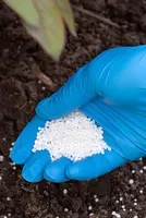 Global Urea Climbs 4-8 per cent in October as Tight Supply Lifts Prices 
