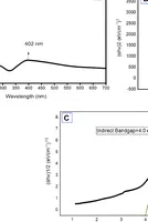 Biosynthesis of silver nanoparticles via Melaleuca alternifolia leaf extract for antibacterial, antifungal, antioxidant and anticancer activity 
