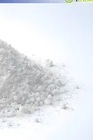 US Fumaric Acid Market Strengthens 4% WoW Amid Geopolitical Risks and Rising Landed Costs