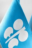 OPEC Will Survive UAE Exit, But Medium-Term Supply Threat Is Real